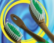 Ion Energy Toothbrush Head Refill ( 10 Bulu sikat gigi / Pack ) 